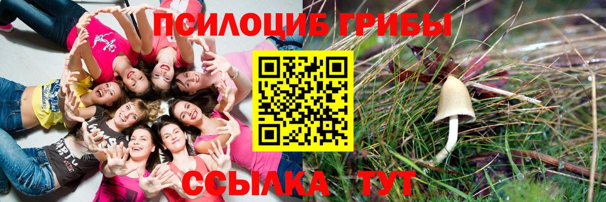Галлюциногенные грибы GOLDEN TEACHER  Вход с VPN  Железноводск  Галлюциногенные грибы мицелий 